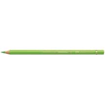 Faber Castell Polychromos Artist Kuru Boya Kalemi 171 Light Green