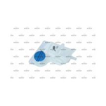 Audi A6 C5 Yedek Su Deposu 1.9 Tdi 2002-2004 Avf Awx Nrf 454006