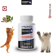 Vıtarmor Supplements Mushroom Kedi & Köpek Bağışıklık Sistemi Destekleyici