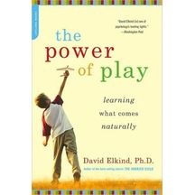 The Power of Play 9780738211107