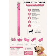 Köpek Boyun Tasması 42-50 Cm Dokuma Naylon Deri Detaylı Metal Tokalı D Halkalı - Pembe Çok Renkli
