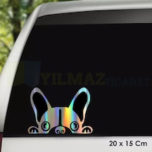 Bakan Köpek Hologram Oto Sticker Etiket Yapıştırma Araba Çıkartma