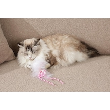 Plume Pembe Fish Catnipli Kedi Oyuncağı