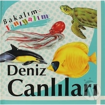 Bakalım Tanıyalım: Deniz Canlıları/Kolektif