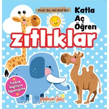 Katla-aç-öğren Zıtlıklar - Aıaı-894535