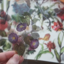 40 Adet Yağlıboya Çiçek Tarzı Şeffaf Etiket Scrapbooking Dıy Hediye Ambalaj Etiketi Hediye Dekorasyon Etiketi Diğer