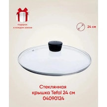 Tefal Tefal Cam Kapak 24 Cm 04090124 +hediye 387616157 Diğer