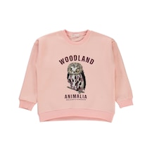 Civil Girls Kız Çocuk Sweatshirt 6-9 Yaş Pudra 19k34356224w1-1 Pudra