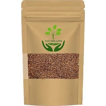 Teff Tohumu Eragrostis Tef 100gr