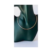 Sertifikalı 316l Çelik Premium Altın Kaplama Snake Chain Yılan Zincir Kadın Kolye