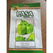 Paşa Tohumculuk Biber Tohumu Kandil Dolma 5 Gr