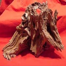 Mangrove Akvaryum Kütüğü L 10 Ad.