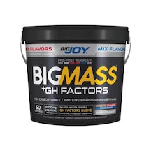 Bigjoy BIGMASS Gainer GH FACTORS 5000g  Mix Aroma