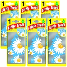 Little Trees Daisy Chain Papatya Aromalı Oto Kokusu 6 Adet