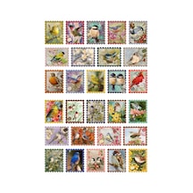 28 Adet Fairycore Kuş Figürlü Pul Sticker Seti - Etiket Seti Scrapbook Bullet Journal Çok Renkli