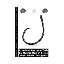 Premium Spor İğne Tatlı Su Mustad Demon Circle 39951np-bn Olta İğnesi No:4-0 - 5li