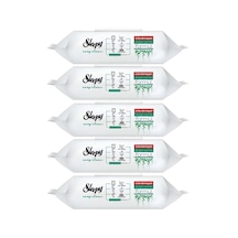 Easy Clean Yüzey Temizlik Havlusu 100 Yaprak 5 Li Set 500 Yaprak Diğer