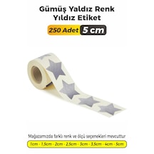 Gümüş Yaldız Renk Yıldız Kesim Sticker Etiket 5cm - 250 Adet Gümüş