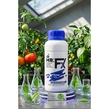 440 ML