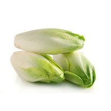 250+ Geniş Yapraklı Endiv Frenk Salatası Tohumu N114430