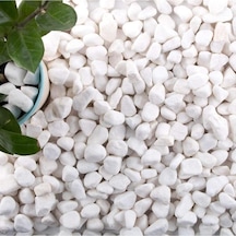 Ekodoğa Dolomit Taş 10 Kg, 1-2 Cm, Beyaz, Saksı Dibi Dekoratif Taş, Teraryum Taşı, Bahçe Taşı Diğer