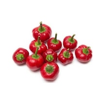 Acı Kiraz Biberi Tohumu Ekim Seti 5 Tohum + Saksı + Toprak