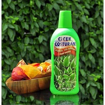 Çiçek Coşturan Çiçeksiz Süs Bitkileri İçin - 9996675828548