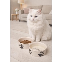 2 Li Seramik Kedi Mama Ve Su Kabı 300ml