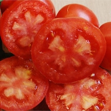 20 Adet Majorcan Wagonwheel Domates Tohumu