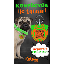 Petjoo 9.Konfüçyüs Turuncu-Yeşil Qr'lı Köpek Künyesi