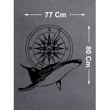30 Cm