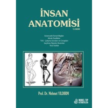 İnsan Anatomisi / Yıldırım 12. Baskı