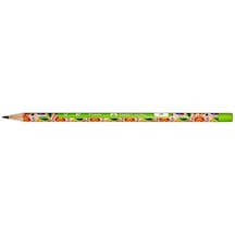 Faber Castell Flowers Kurşun Kalem 2b-yeşil Çok Renkli
