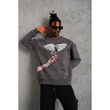 Erkek Güvercin Baskılı 3 İplik Pamuklu Bisiklet Yaka Sweatshirt - Gri