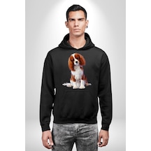 Cavalier King Charles Spaniel Kadın Erkek Siyah Kapüşonlu Sweatshirt Hoodie Siyah