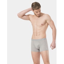 Türen Erkek Likralı Boxer 165/Gri 001
