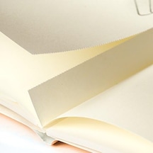 Leuchtturm1917 355531 Jottbook Medium A5 , 60 Numaralı Sayfa, Boş, Altın, İkili Pakette 103 Ivory