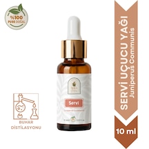 10 ML