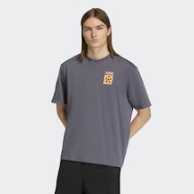 Adidas Kd1429 Flag Gfx Ss T Erkek Tişört Gri