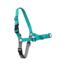 Easy Walk No-pull Köpek Göğüs Tasması, Çekmeyi Önlemeye Yardımcı, Kontrolü Ele Alın Ve Tasmayla Daha İyi Yürümeyi Öğretin, Large, Sarımsı Turkuaz/gri