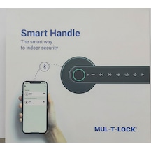 Multlock Smart Handle