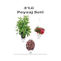 3'lü Peyzaj Seti Viburnum Fidanı Kırmızı Petunya Çiçeği Curf
