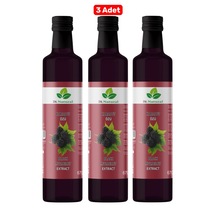 3 Adet Karadut Özü 670 Gr.