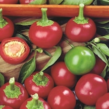 Red Cherry Tatlı Biber Tohumu 50 Tohum