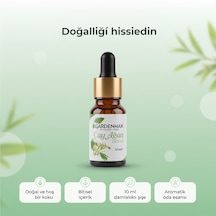 Çay Ağacı