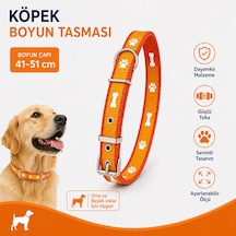 Pati Ve Kemik Desenli Köpek Boyun Tasması 41-51 Cm Ayarlanabilir Metal Tokalı D Halkalı - Turuncu Çok Renkli