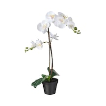 Yapay Saksılı Beyaz Orkide, Meridyendukkan 12 Cm Ev-bahçe Dekorasyonu