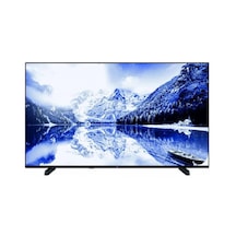 55"