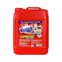 Kuzey Aspirinho Çok Amaçlı Temizleyici 4 Lt 10'li Paket 10'lu Set