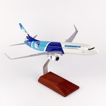 Thy050 1/100 Ölçek, Thy Erzurum Spor Logolu B737-800 Yolcu Uçağı, Sergilemeye Hazır Ahşap Standlı Model-56299